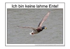 Lahme-Ente-3.pdf